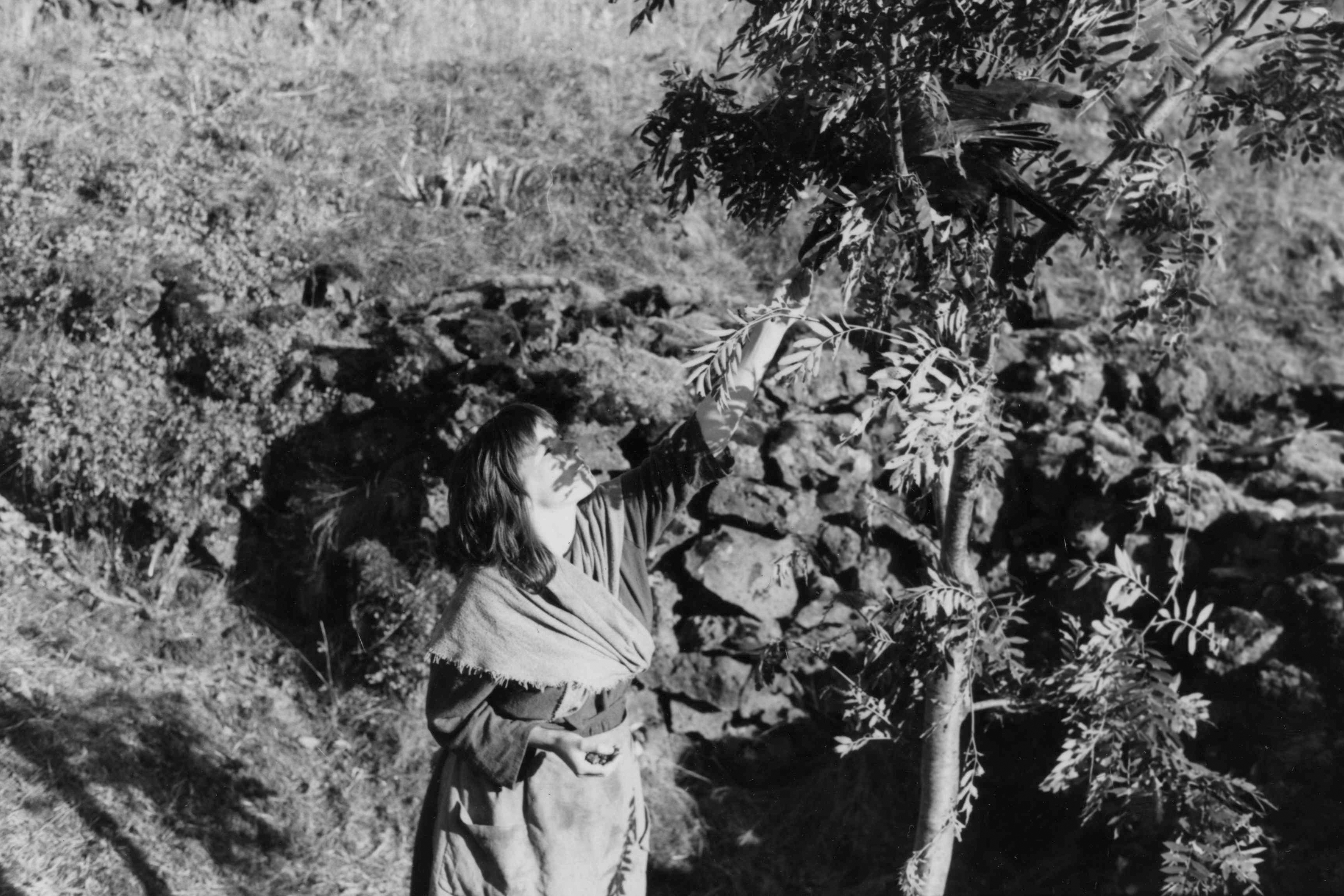 Cuando fuimos brujas