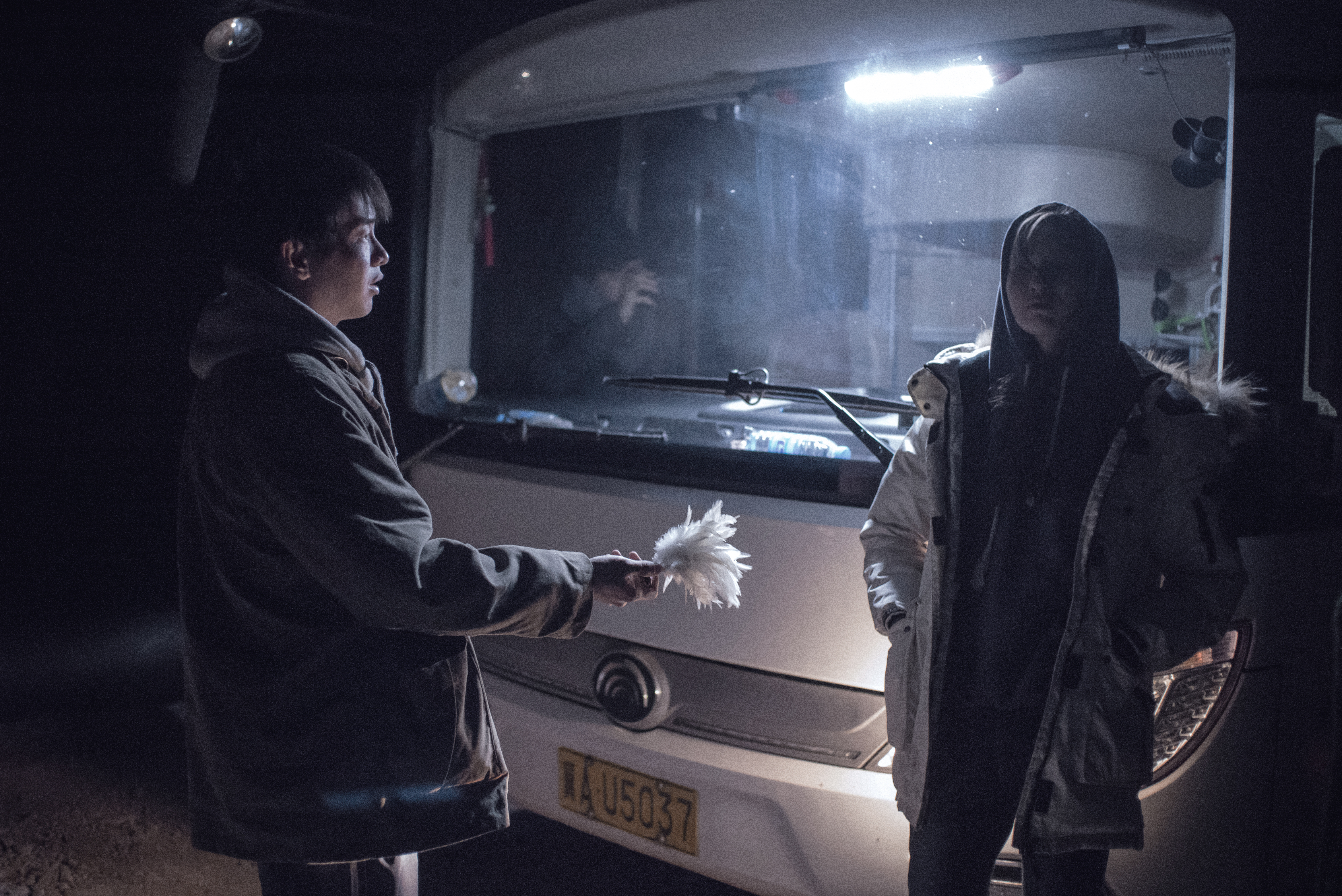 An elephant sitting still