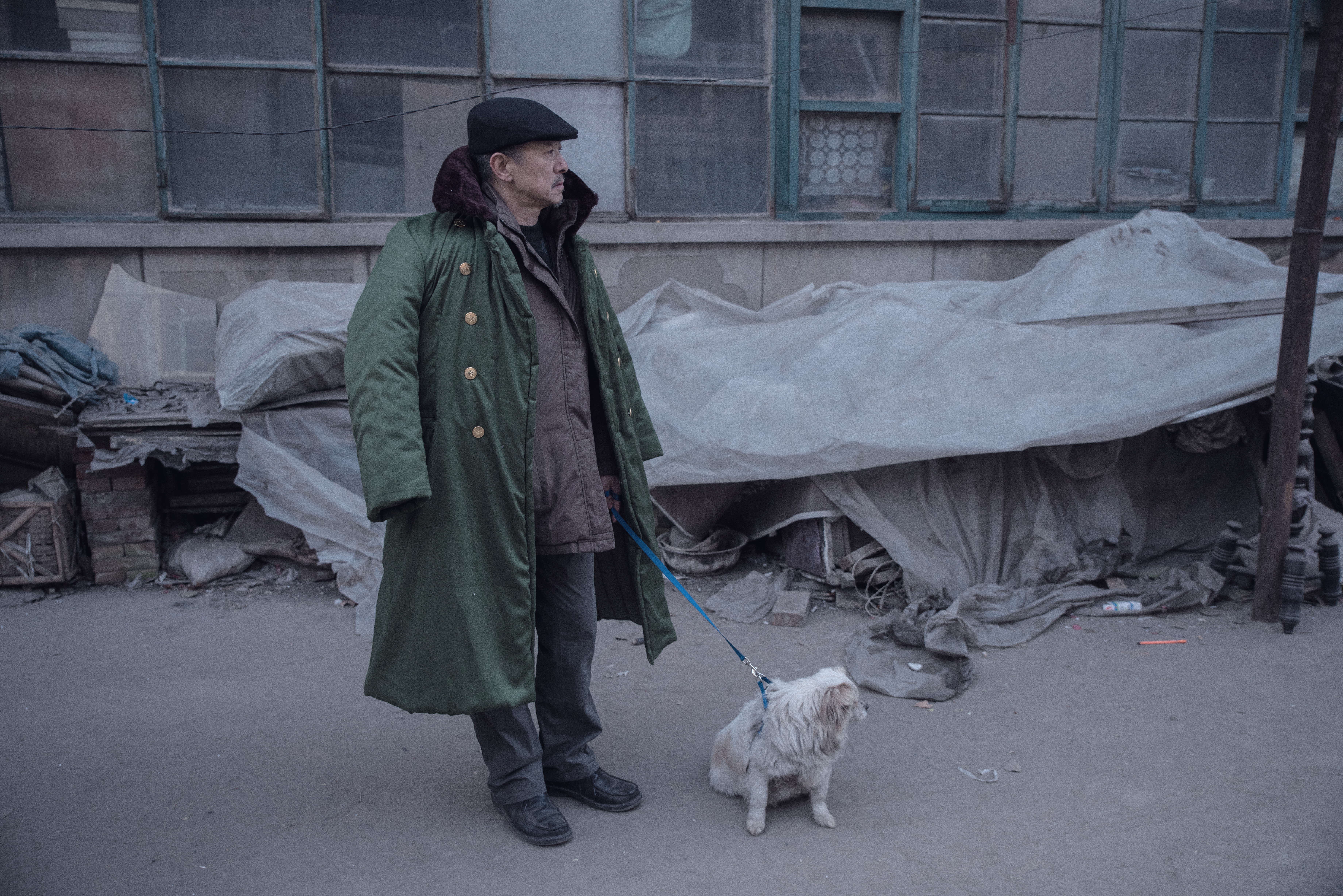 An elephant sitting still