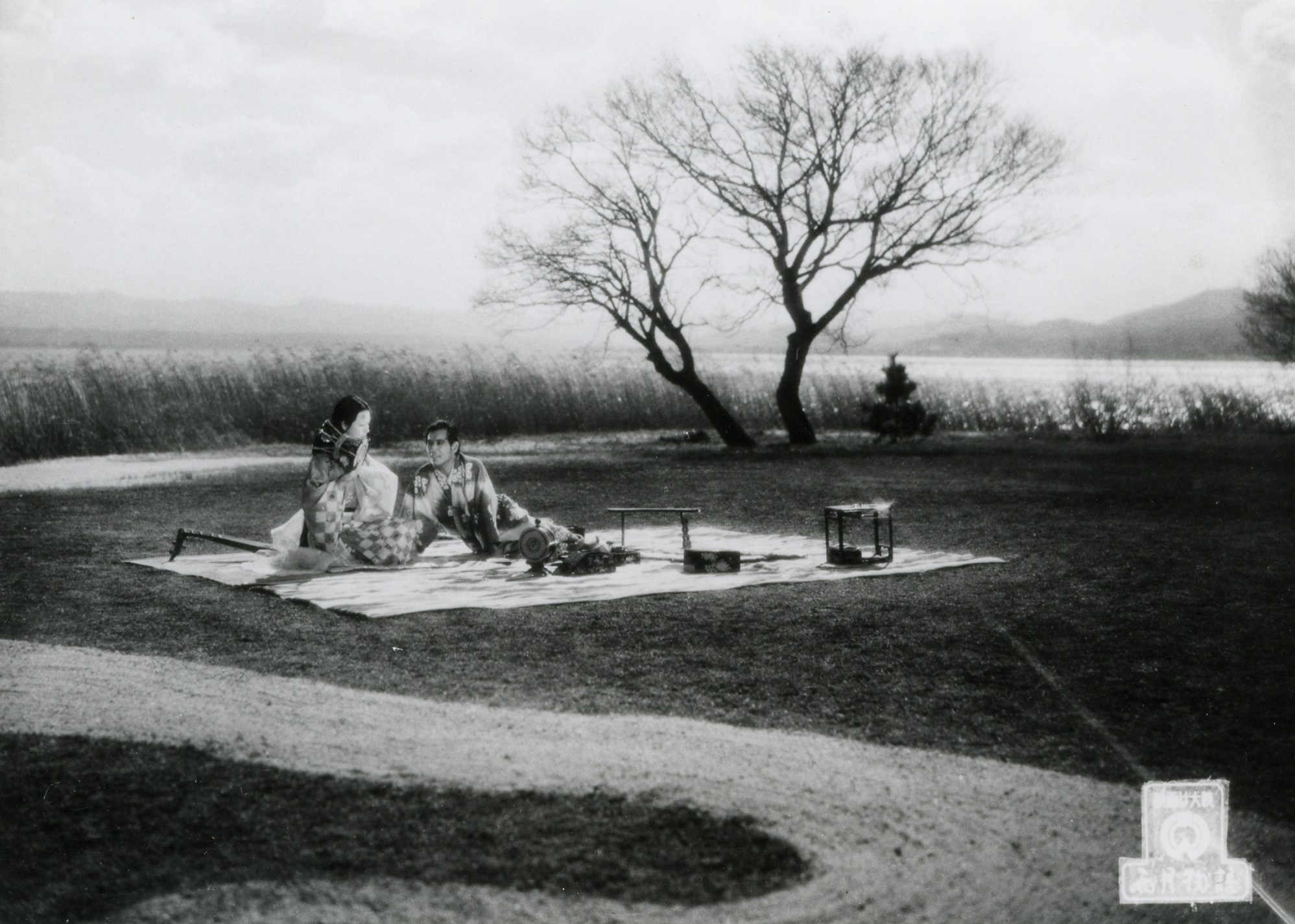 Cuentos de la luna pálida