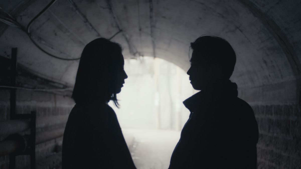 An elephant sitting still