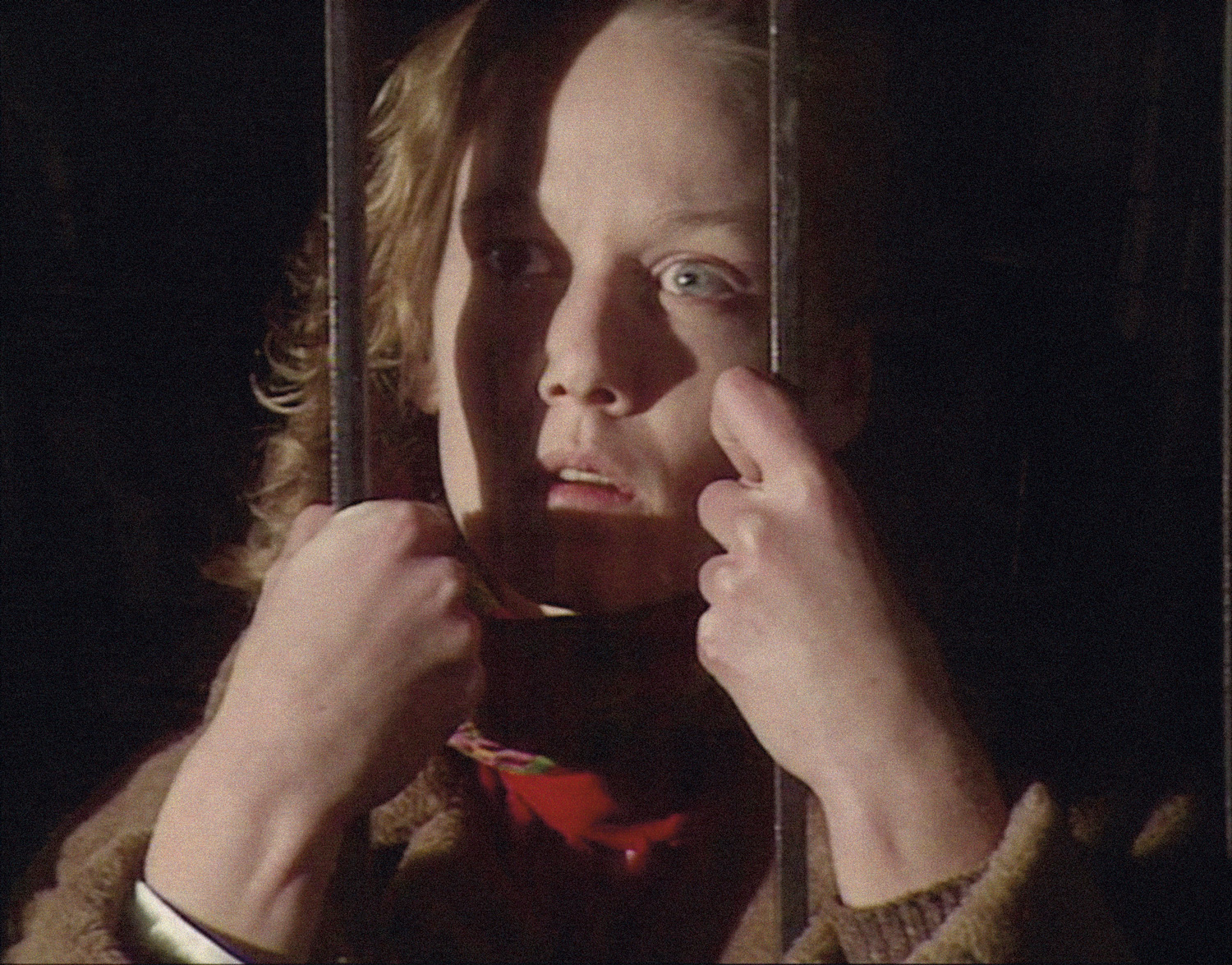 Grandeza y decadencia de un pequeño comercio de cine